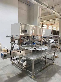 Rotary Automatic Can Filling Sealing Machine shipping to America