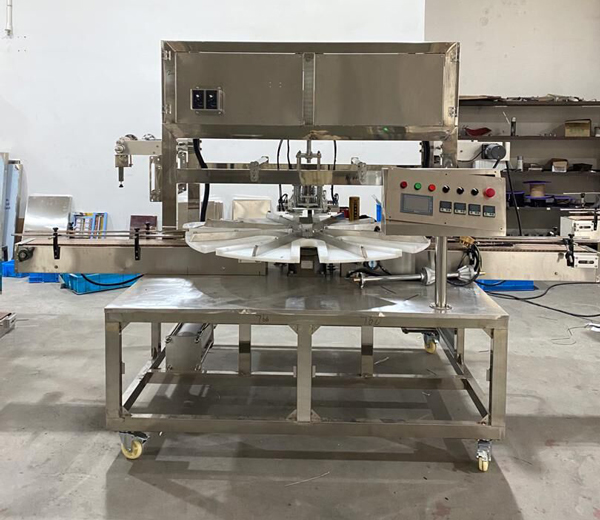 Rotary Automatic Can Filling Sealing Machine shipping to America